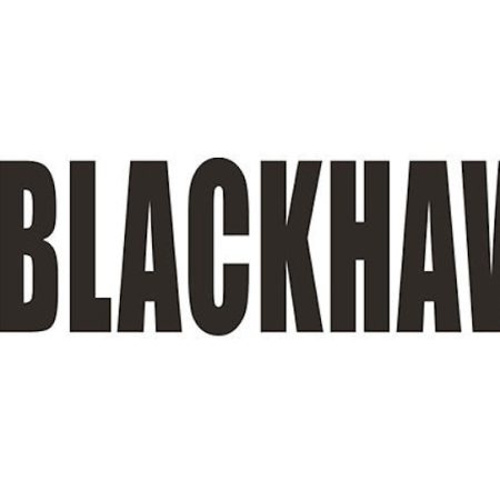 Blackhawk Hybrid Folding sights pair picatinny