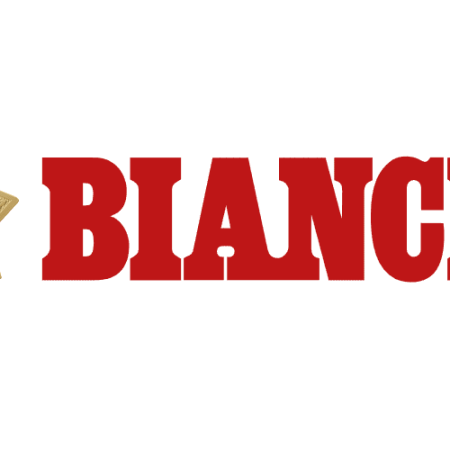 Bianchi Lightning Grips K frame