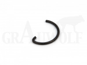 Clip Spring